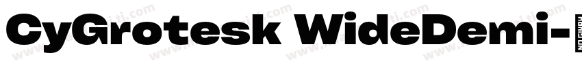 CyGrotesk WideDemi字体转换